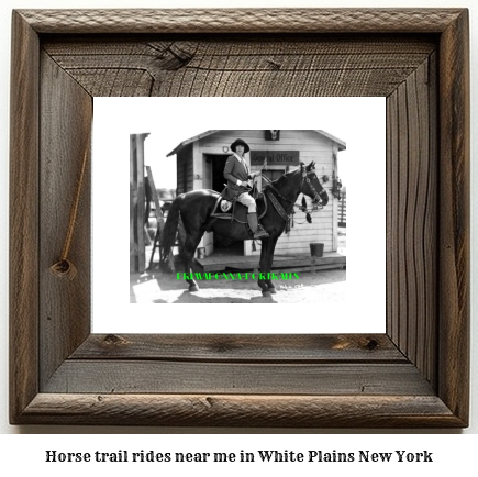 horse trail rides near me in White Plains, New York